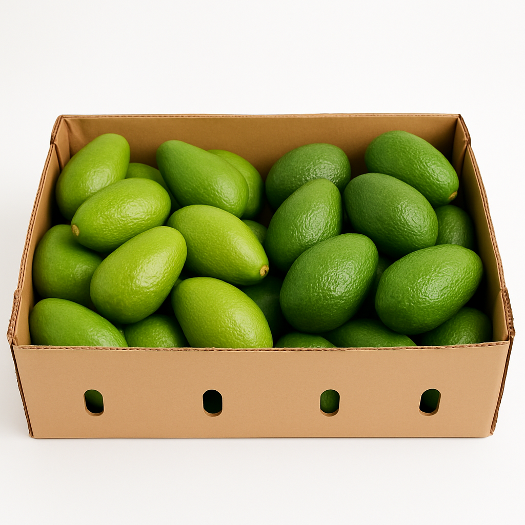 Hass & Fuerte Avocados